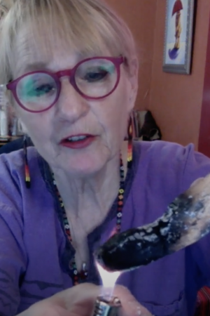 Shamanic Healing Session